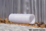 「大阪・関西万博にて化粧品容器プラスチックの再利用にむけた実証試験を実施」の画像1