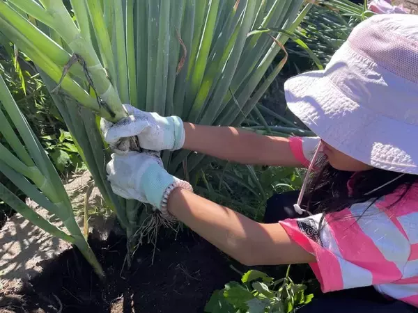 海と大地が育む「豊かな暮らし」。八雲町で行う親子留学プログラムが新たな感動を提供いたします。