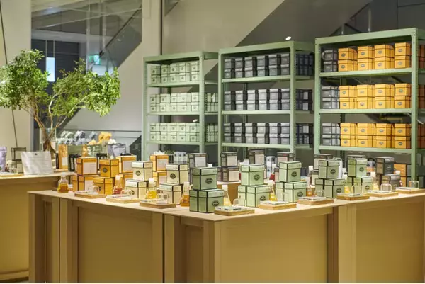 「ポートランド発のスペシャルティ・ティー カンパニー SMITH TEAMAKERが渋谷スクランブルスクエアにてポップアップストアを再オープン！」の画像