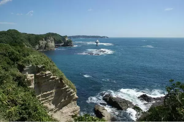 海洋生態系の回復と地域資源の持続可能な活用を目指して　「勝浦市藻場保全対策協議会」を設置