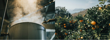 THREEが追求する国産精油創りの新たな拠点、広島県尾道に「尾道蒸留所」開設