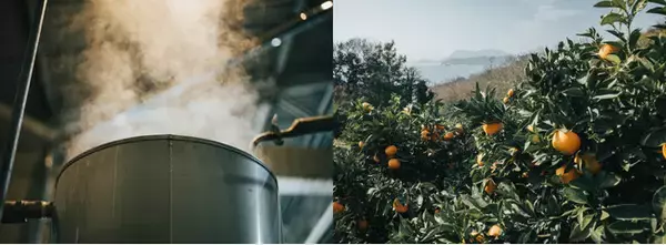 THREEが追求する国産精油創りの新たな拠点、広島県尾道に「尾道蒸留所」開設