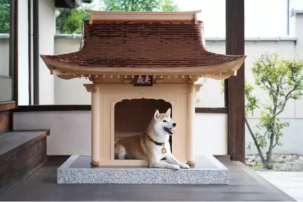 日本社寺建築の粋を結集した最高級犬小屋の製作販売 - 犬殿（INUDONO 