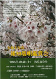 「「令和七年度　報知端唄鑑賞会」4月5日(土)開催」の画像1