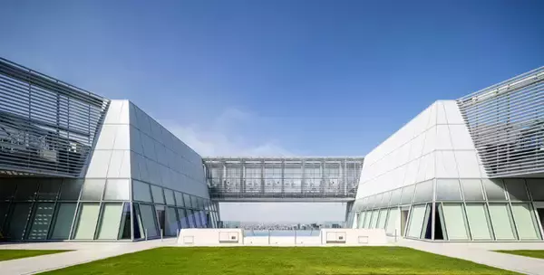 地上250mのインフィニティプールと東京のパノラマを見渡す唯一無二のウェルネス体験「melt presents TOKYO NODE YOGA」