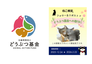 「ねこ検定」受験者・賛同者らの思いを届け、総額650,270円をどうぶつ基金へ寄付