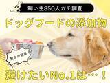 「【飼い主350人調査】ドッグフードの「添加物」を気にする人は驚きの●割超え！愛犬の健康を守る「新常識」が定着」の画像1