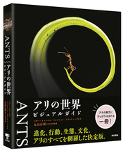 丸山宗利、日本語版監修！美しき写真で迫る、楽しく深いアリの世界。『ANTS アリの世界 ビジュアルガイド』8月28日発売。