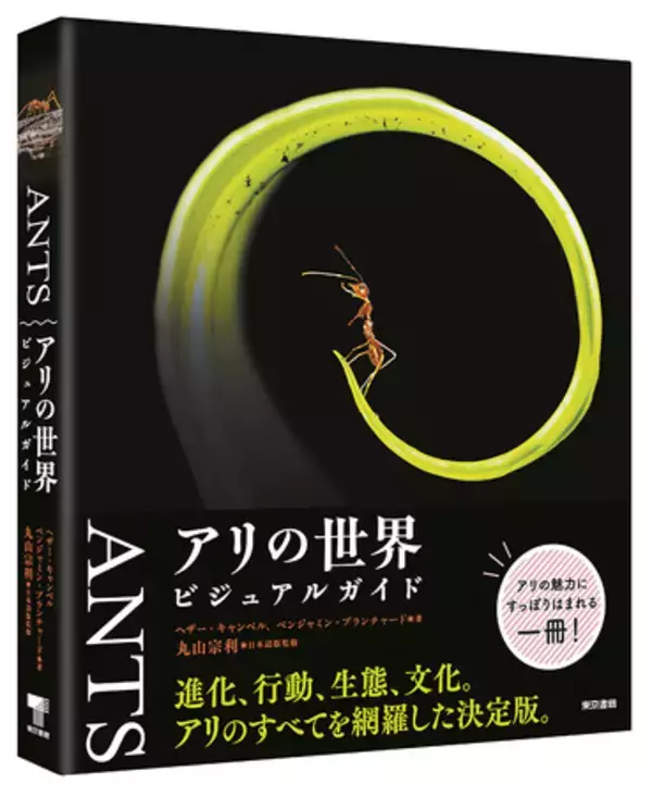 丸山宗利、日本語版監修！美しき写真で迫る、楽しく深いアリの世界。『ANTS アリの世界 ビジュアルガイド』8月28日発売。