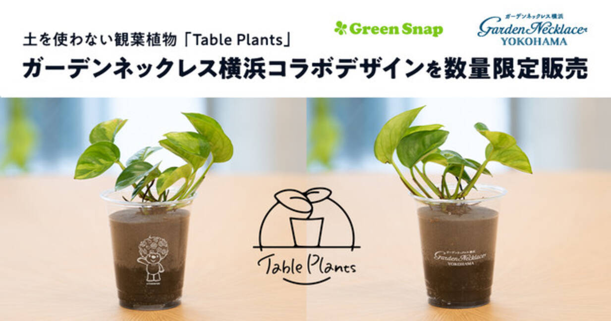 【GreenSnap】コラボデザイン登場！土を使わない観葉植物「Table Plants」ガーデンネックレス横浜コラボデザインを数量限定販売  (2022年4月14日) - エキサイトニュース