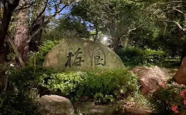 【夜空と海に咲く大輪の華】夏季の熱海海上花火大会は合計5回開催！特等席確約の送迎付きプランの販売中。夏の繁忙期は人気なので、ご予約はお早めに！