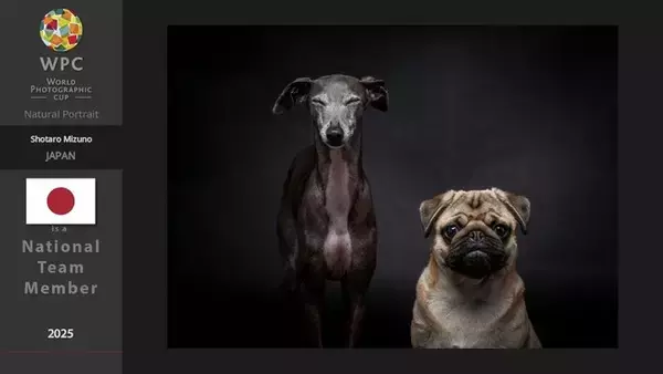 【快挙】写真のW杯「WPC2025」日本代表に歴代最年少21歳で選出！愛媛のドッグフォトグラファー水野祥太郎氏、父子二代での偉業