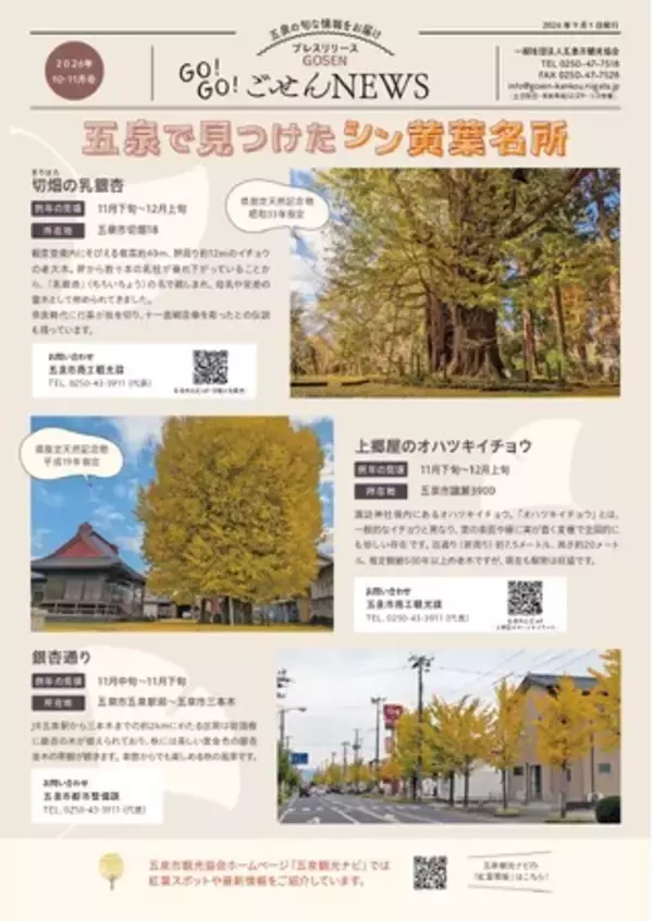 幹周り12mの"乳銀杏"や、9年ぶり復活の「ぎんなん祭り」。県天然記念物の巨木めぐりから、栗・さといもなど旬を味わうイベントまで! 「GO！GO！ごせんNEWS」2026年10・11月号を発行