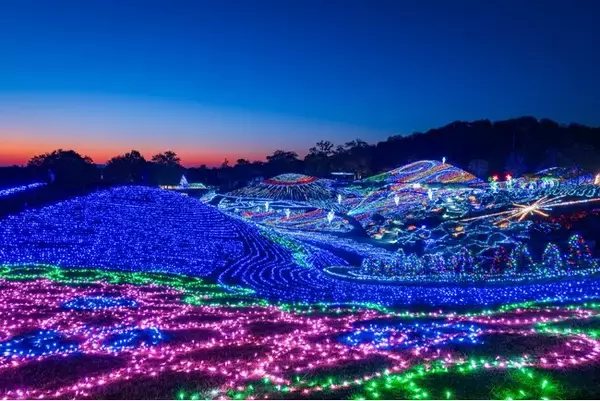 「大人気イルミネーションイベント「ウィンターファンタジー」開催！！（国営讃岐まんのう公園）」の画像