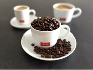 メリタジャパンが新しいコーヒービジネスを開始。