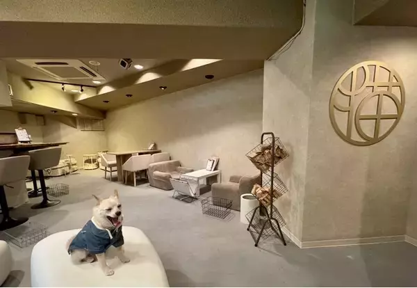 「東京都台東区・蔵前にバー『夜音喫茶 猫奈落』1月10日オープン」の画像