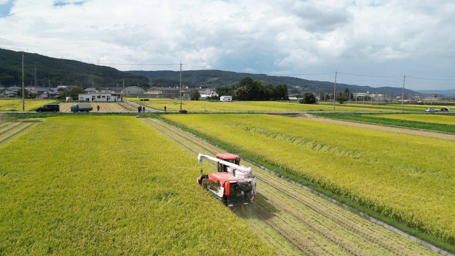「食」の安心を、100年先の食卓へ。農家と消費者をつなぐ「ゆうきやの確穂米®」誕生の物語
