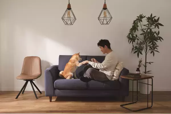 お好みにあわせて座り心地やデザインが選べる！新カスタマイズソファ。