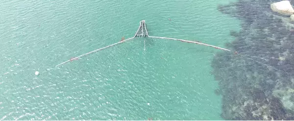 NPO法人クリーンオーシャンアンサンブル、初の海上マイクロプラスチックの回収に成功