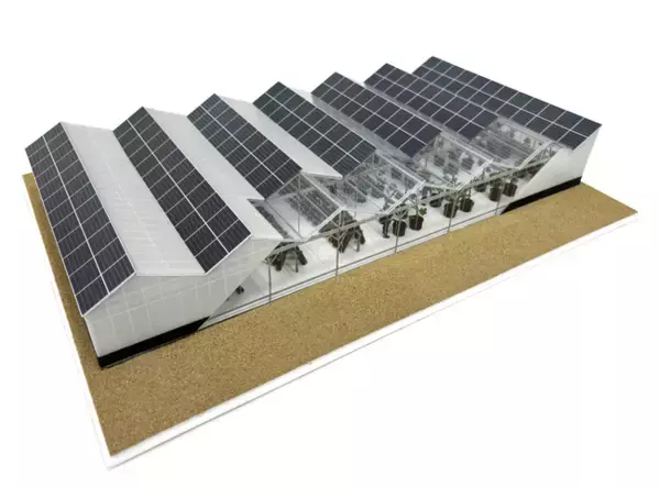 農業用ハウスへの初期投資ゼロで始められる「営農型太陽光発電」を開始