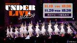 「「乃木坂46 36thSGアンダーライブ」 11月19日(火)、20日(水)にLeminoで配信決定！」の画像1