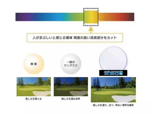 「「昼も夜も見える」を当たり前に― ドライバーの“見えにくさ”を変えた『with Drive』―」の画像