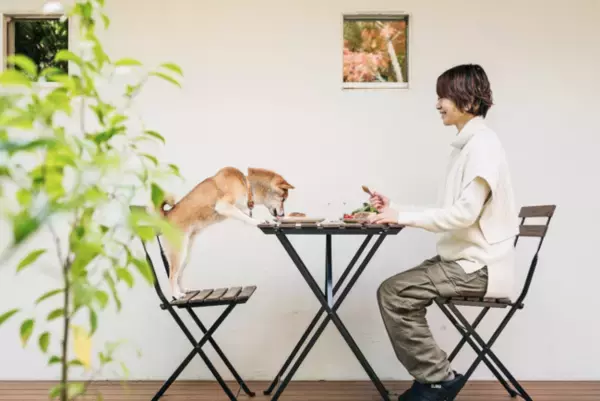 SDGs食材 希少な国産「九州＜宮崎産チョウザメ＞100％使用」魚の旨さを熟知した老舗魚屋がつくるサステナブルなペットフード