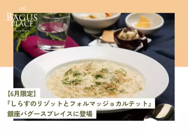 【6月限定ランチ】初夏の味覚とチーズの饗宴「しらすのリゾットとフォルマッジョカルテット」が銀座バグースプレイスに登場