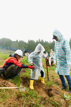 第２回岡山県津山市植樹を開催