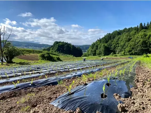 「【神戸市「Flag」共創事例】アシックス × みみずや 「アグリスポーツワーケーション」の効果検証を開始」の画像