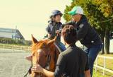 「岡山県吉備中央町で馬とのふれあい授業開催！」の画像1