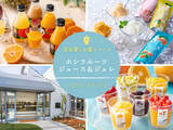 「一番売れる「夏」到来！ 日本のブランド果実で作ったホシフルーツのジュレ＆ジュース、好評につき販売店も拡大中！」の画像1