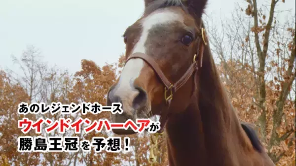 ～「馬のことは馬に聞け！」レース予想動画を本日公開～あのディープインパクトの母、ウインドインハーヘアが勝島王冠を大胆予想!?