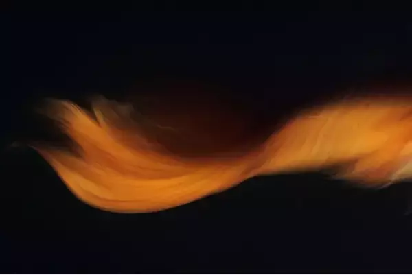 アイデムフォトギャラリー[シリウス]　 数見二郎写真展「散歩の途中で II」 期間：2024年2月1日(木）～2月7日（水）