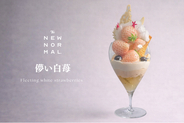 出会える時期は、ほんのわずか。希少な白苺が主役の新作パフェ「儚い白苺」期間限定登場【THE NEW NORMAL】
