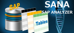 SAPデータ容量分析、予測ツール「SANA(SAP/ANALYZER）」の販売開始　