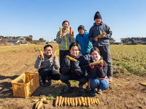 “あの人に会いたい”が再訪を生む　チイオシ鉾田市農業体験プロジェクト第五弾にんじんの収穫体験を実施しました