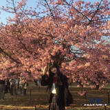 「【2026年春の特大号】全15項目！最新トレンドTOP10！」の画像1