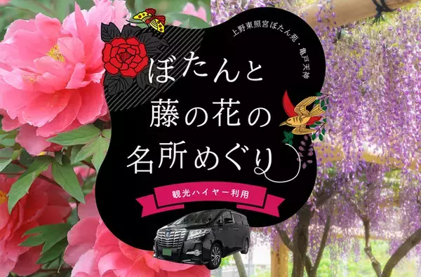 【5月上旬まで】「ぼたんと藤の花の名所めぐり」観光プラン販売中（観光ハイヤー利用）