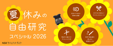 「夏休みの自由研究スペシャル 2026」を公開