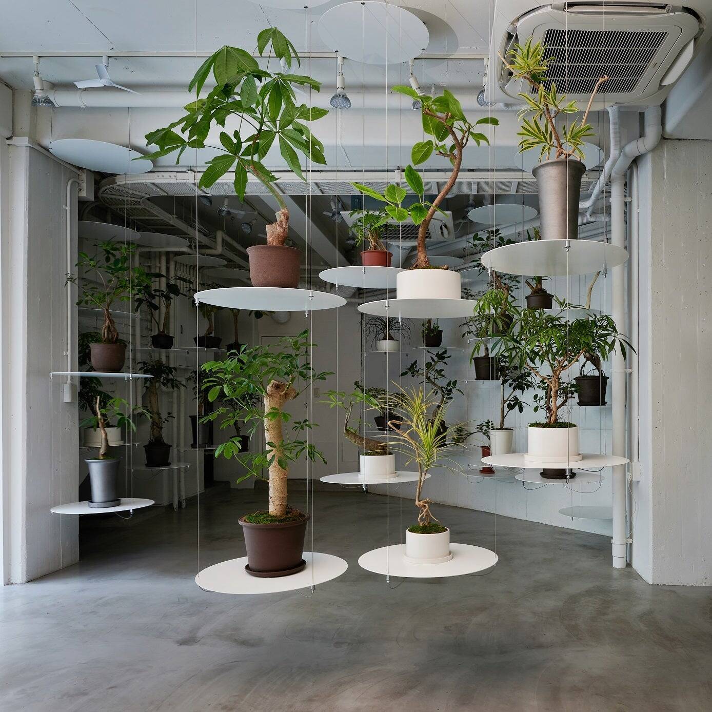 ワイヤーシステム「アラカワグリップ」が世界の美術館やショーウィンドウで使われるまで