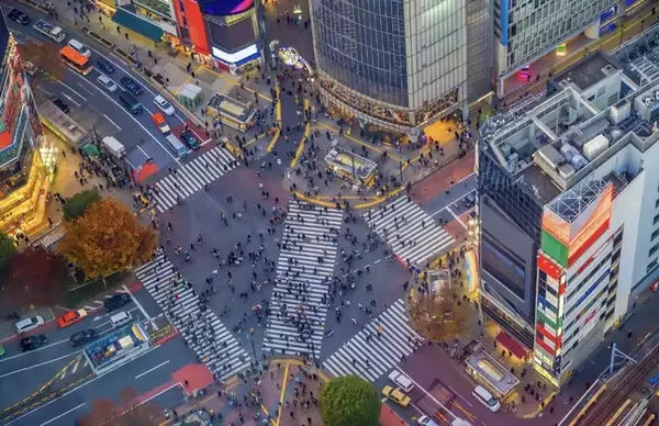 まちづかい戦略における「各種交通データを活用したまちづくり推進プロジェクト」が東京都データプラットフォーム（TDPF）令和6年度ケーススタディ事業に採択