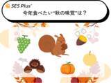 「今年食べたい“秋の味覚”ランキング2025を発表！王道・サンマが首位獲得」の画像1