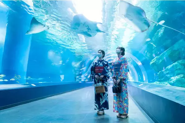 【品川プリンスホテル】約250種類から選べるお好きな浴衣を着て水族館巡り＆ホテルステイ　お持ち帰り可能な浴衣付き宿泊プランで東京の夏を満喫