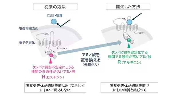 「熱意と好奇心で「”400種類”の壁」に挑んだ30年。嗅覚受容体の反応を網羅的に解析する技術「ScentVista 400™」を確立するまで。」の画像