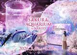 「【マクセル アクアパーク品川】都市型水族館で一足早い“海の世界のお花見体験” さらに「ももいろクローバーZ」とのコラボコンテンツも同時開催！『SAKURA AQUARIUM by NAKED』」の画像1