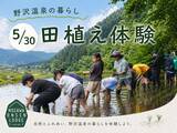 「【野沢温泉ロッヂが提案する「野沢温泉の暮らし体験」】5/30田植え体験を開催」の画像1