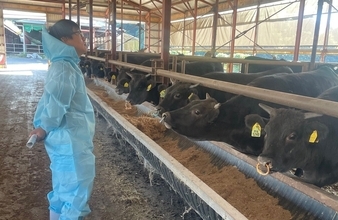 CO2排出量75%減のラストピースは「鹿児島の肉用牛」だった。創業103年の塗装屋がたどり着いた、中小企業のための「脱炭素のフレームワーク」とは
