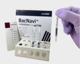 「食品衛生現場での細菌検査を迅速化する抗原検査技術を開発」の画像1