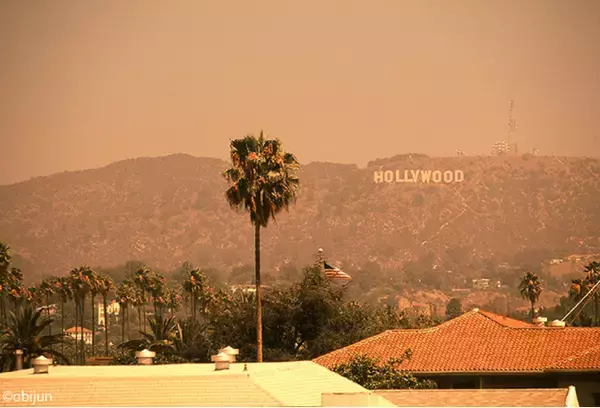 【OFF SESSiON × HOLLYWOOD RANCH MARKET】別注フォトTシャツ発売、「OUTSIDE CALIFORNIA｜IN PRINT」（7月18日～26日）を開催